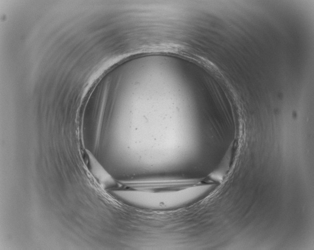 X0000051861184200507151812