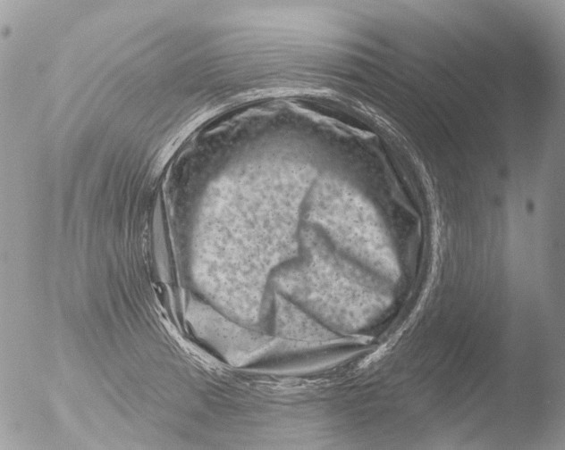 X0000051861185200507151812