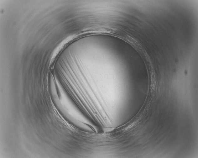 X0000051861188200507151812