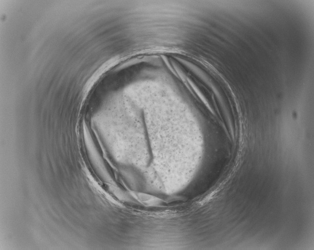 X0000051861189200507151812