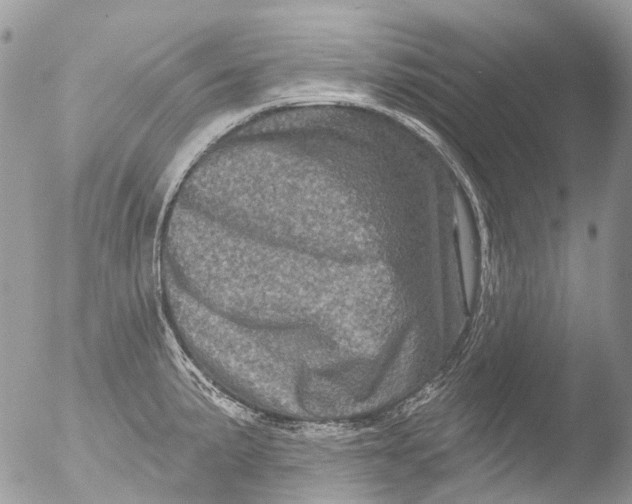 X0000051861191200507151812