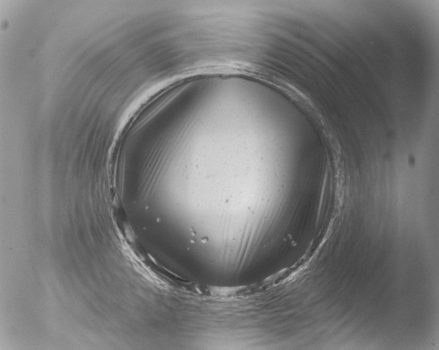 X0000051861192200507151812