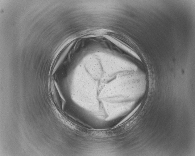 X0000051861194200507151812