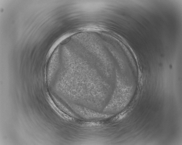 X0000051861195200507151812