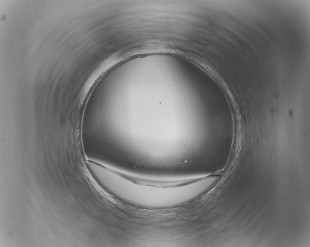 X0000051861197200507151812