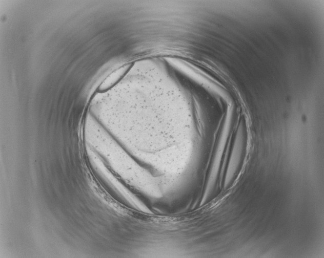 X0000051861198200507151812