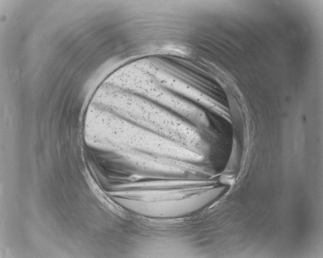 X0000051861200200507151812