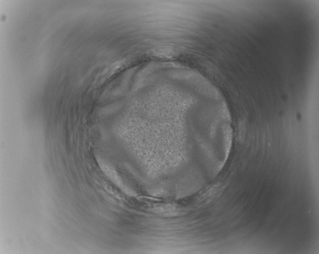 X0000051861201200507151811