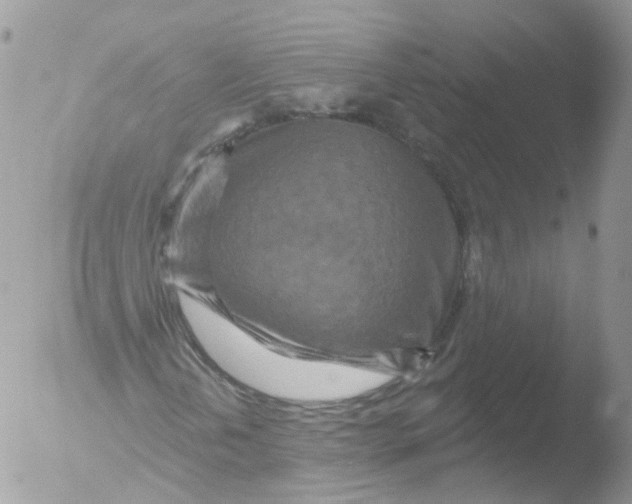 X0000051861202200507151811