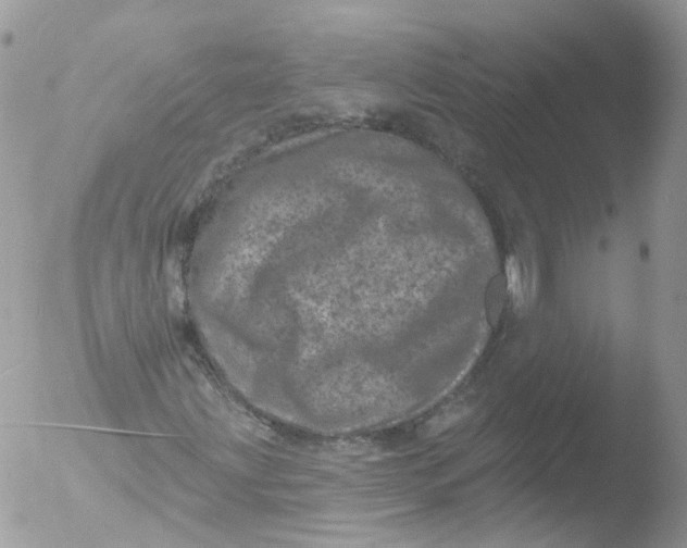 X0000051861203200507151811