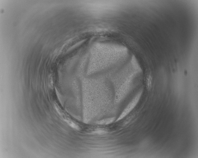 X0000051861204200507151811