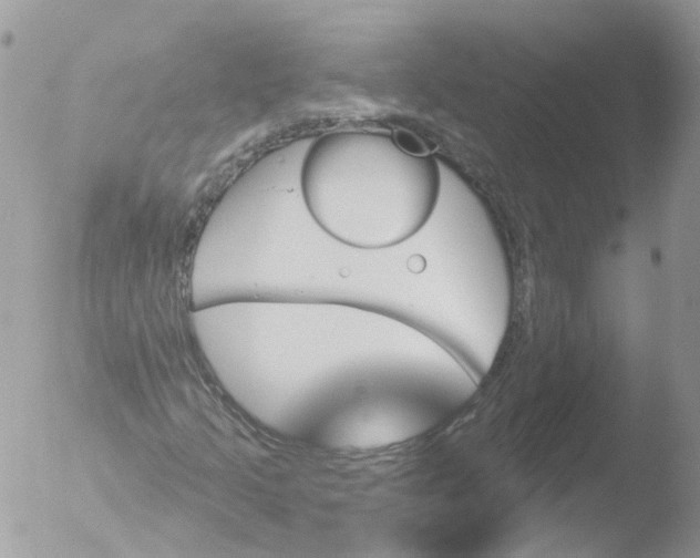 X0000051861205200507151811