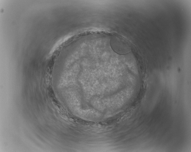 X0000051861207200507151811