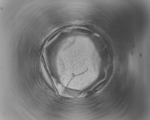 X0000051861209200507151811