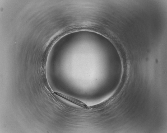 X0000051861210200507151811