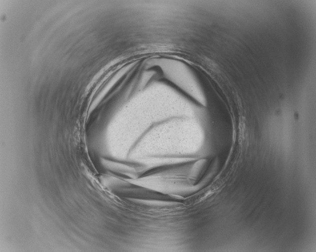 X0000051861212200507151811