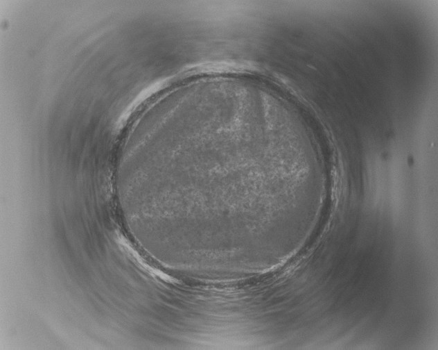 X0000051861213200507151811