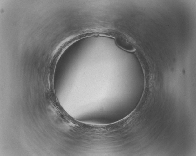 X0000051861214200507151811