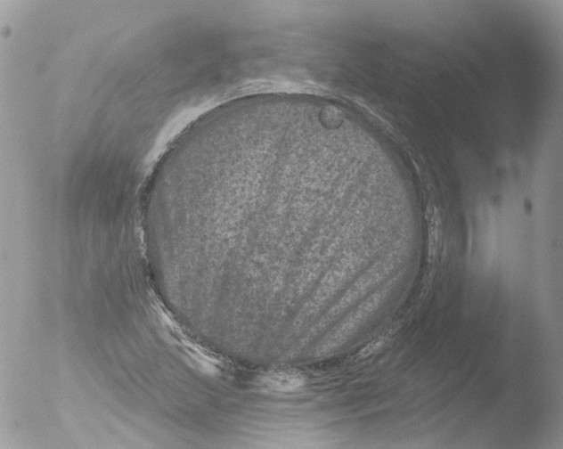 X0000051861215200507151811