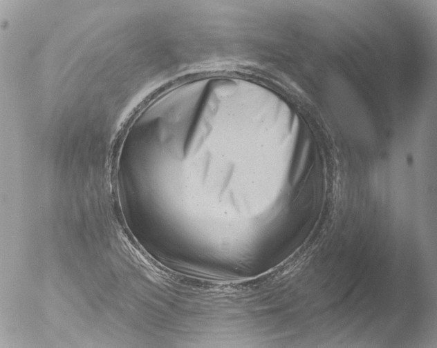 X0000051861216200507151811