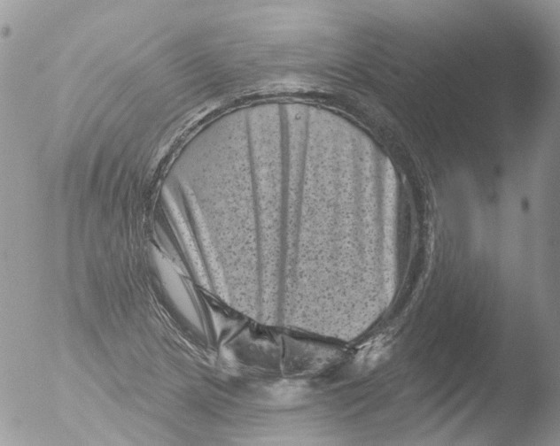 X0000051861217200507151811