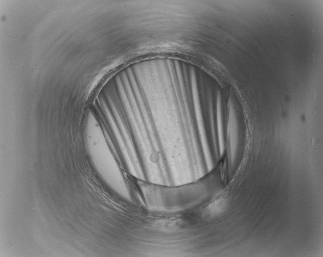 X0000051861218200507151811