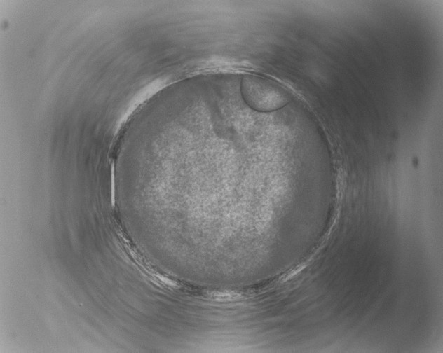 X0000051861219200507151811