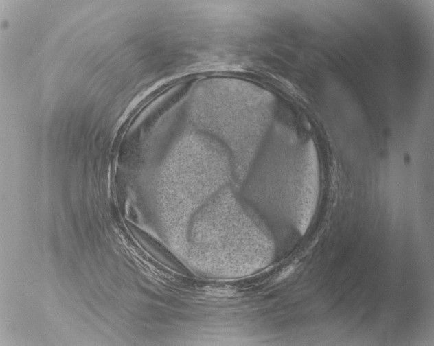 X0000051861220200507151811