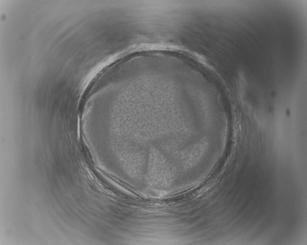 X0000051861221200507151811