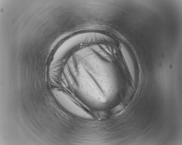 X0000051861222200507151812