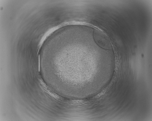 X0000051861223200507151812