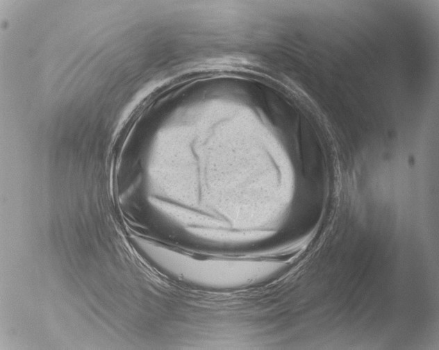 X0000051861224200507151812