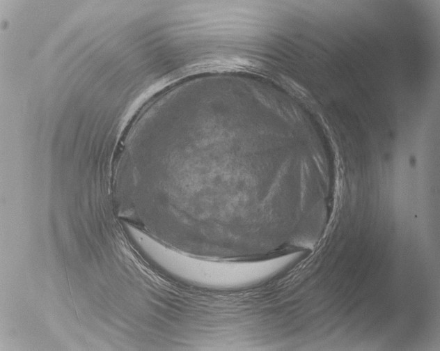 X0000051861226200507151812