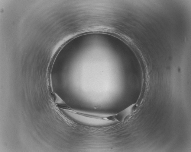 X0000051861230200507151812