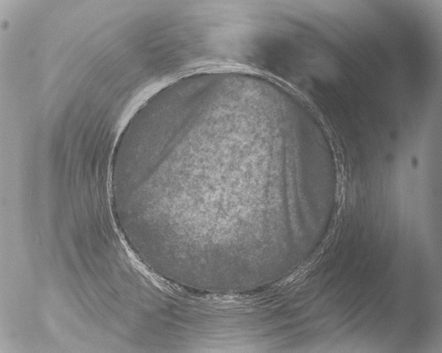 X0000051861231200507151812