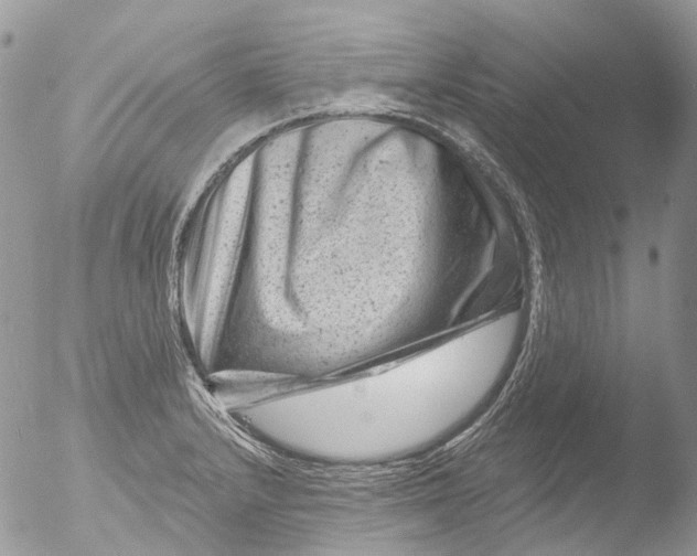 X0000051861232200507151812