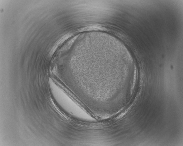 X0000051861233200507151812