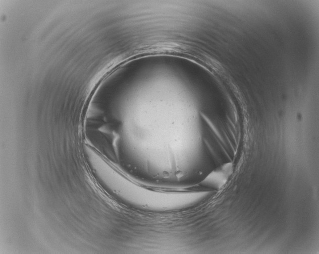 X0000051861234200507151812