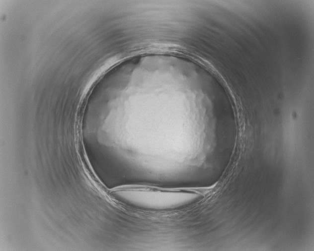 X0000051861235200507151812