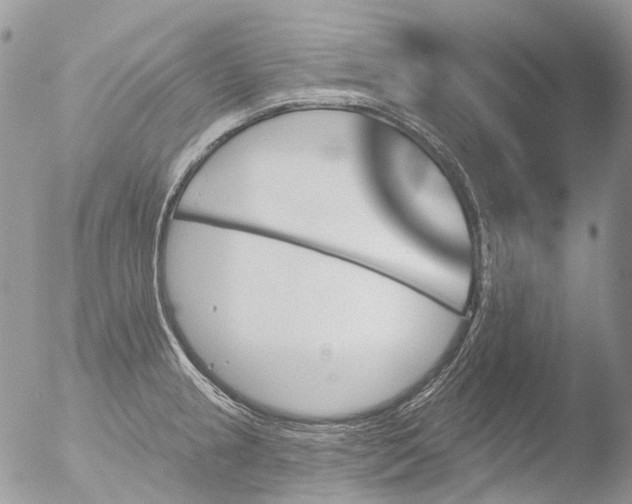 X0000051861237200507151812