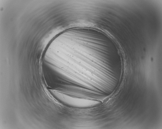 X0000051861238200507151812