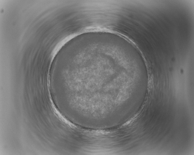 X0000051861239200507151812