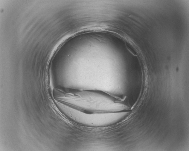 X0000051861240200507151812