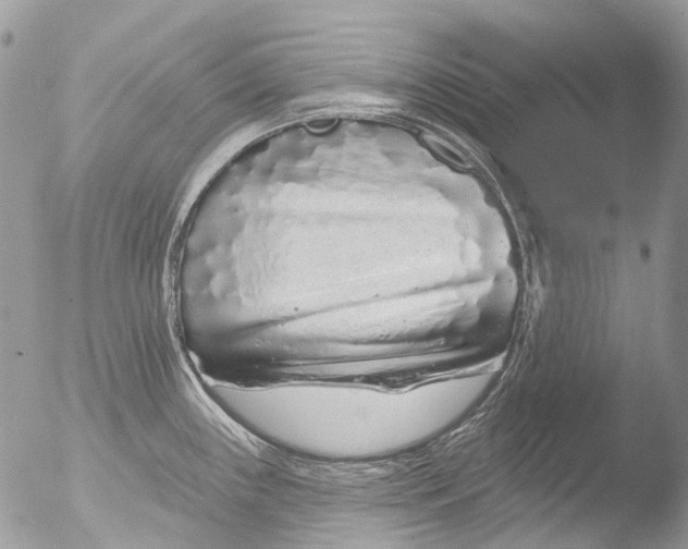 X0000051861243200507151812