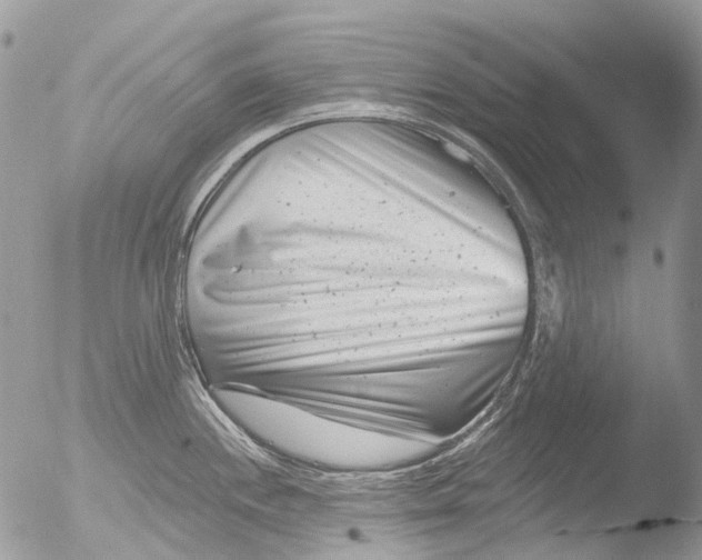 X0000051861244200507151812