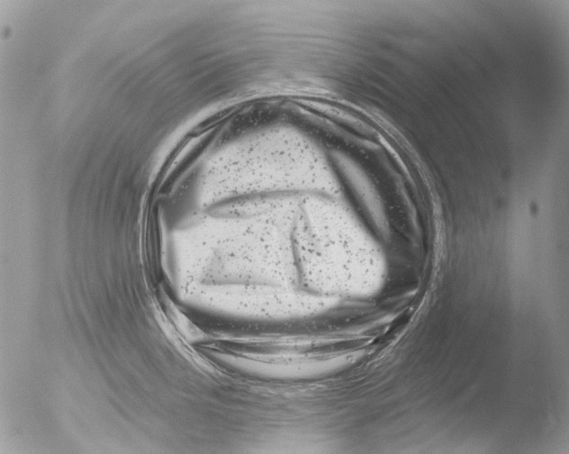 X0000051861246200507151812