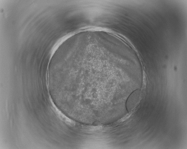 X0000051861247200507151812