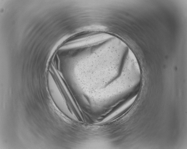 X0000051861248200507151812