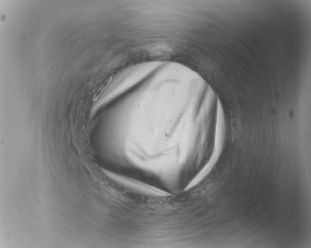 X0000051861249200507151811