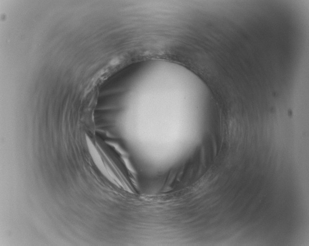 X0000051861250200507151811